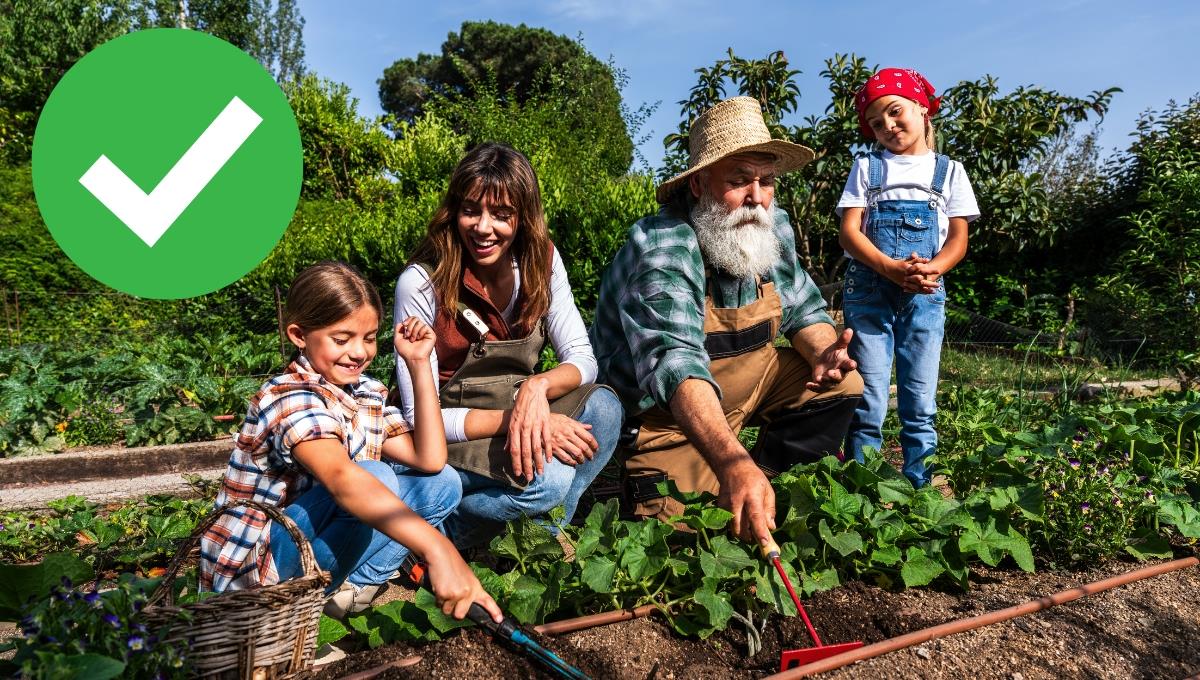 La actividad en el jardín de tu casa que beneficiará tu salud a largo plazo